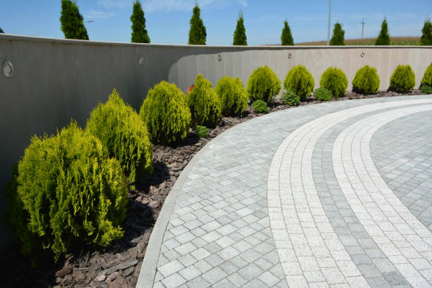 Best Residential Paver Driveway  in Midway City, CA